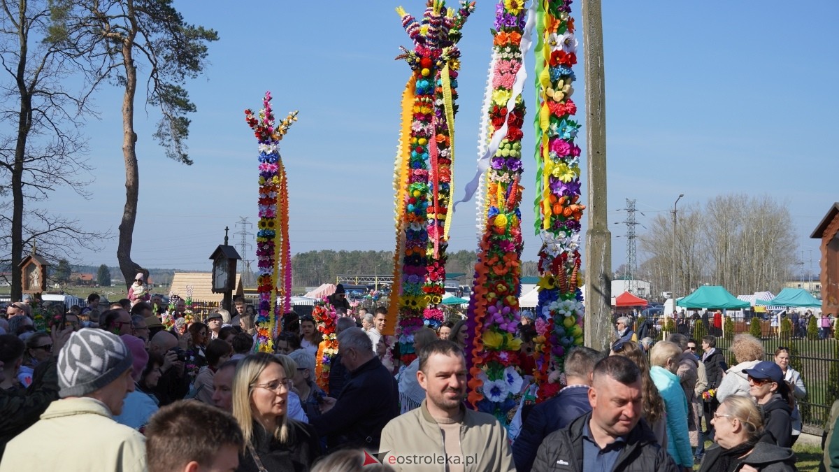 Niedziela Palmowa 2025 w Łysych [13.04.2025] - zdjęcie #429 - eOstroleka.pl
