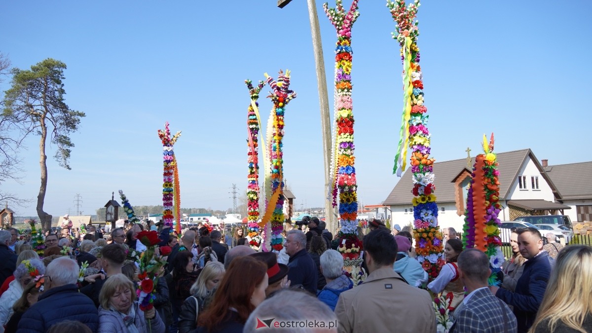 Niedziela Palmowa 2025 w Łysych [13.04.2025] - zdjęcie #428 - eOstroleka.pl