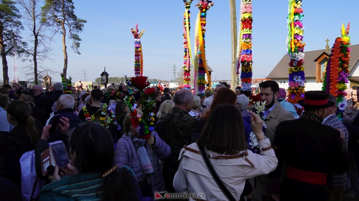 Niedziela Palmowa 2025 w Łysych [13.04.2025] - zdjęcie #427 - eOstroleka.pl