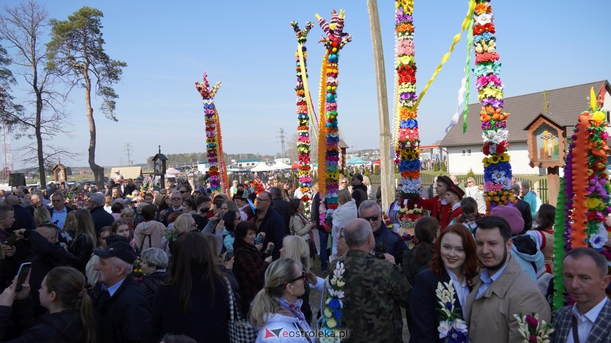 Niedziela Palmowa 2025 w Łysych [13.04.2025] - zdjęcie #420 - eOstroleka.pl