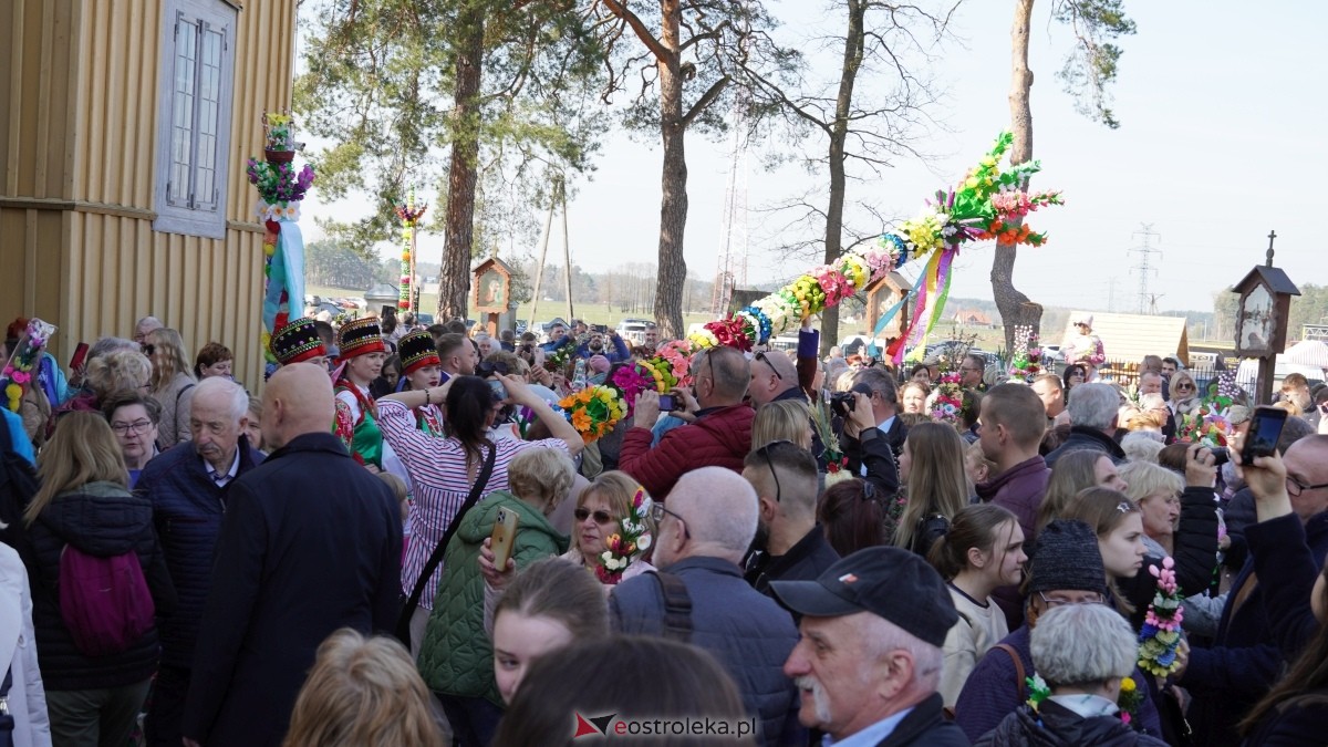 Niedziela Palmowa 2025 w Łysych [13.04.2025] - zdjęcie #415 - eOstroleka.pl