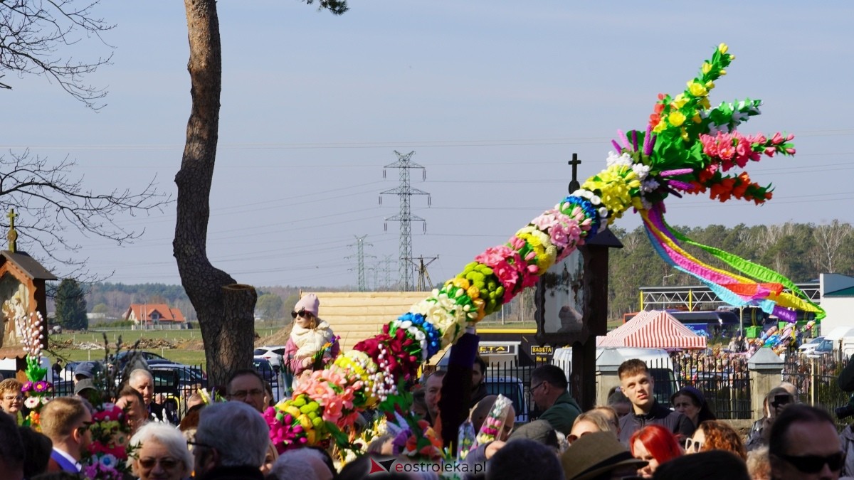 Niedziela Palmowa 2025 w Łysych [13.04.2025] - zdjęcie #414 - eOstroleka.pl