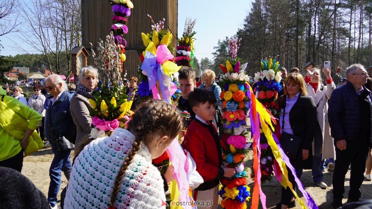 Niedziela Palmowa 2025 w Łysych [13.04.2025] - zdjęcie #406 - eOstroleka.pl