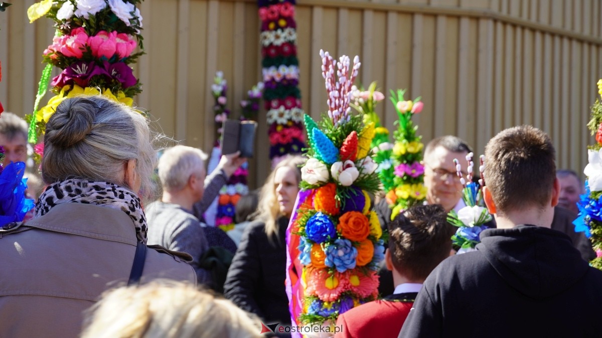 Niedziela Palmowa 2025 w Łysych [13.04.2025] - zdjęcie #401 - eOstroleka.pl
