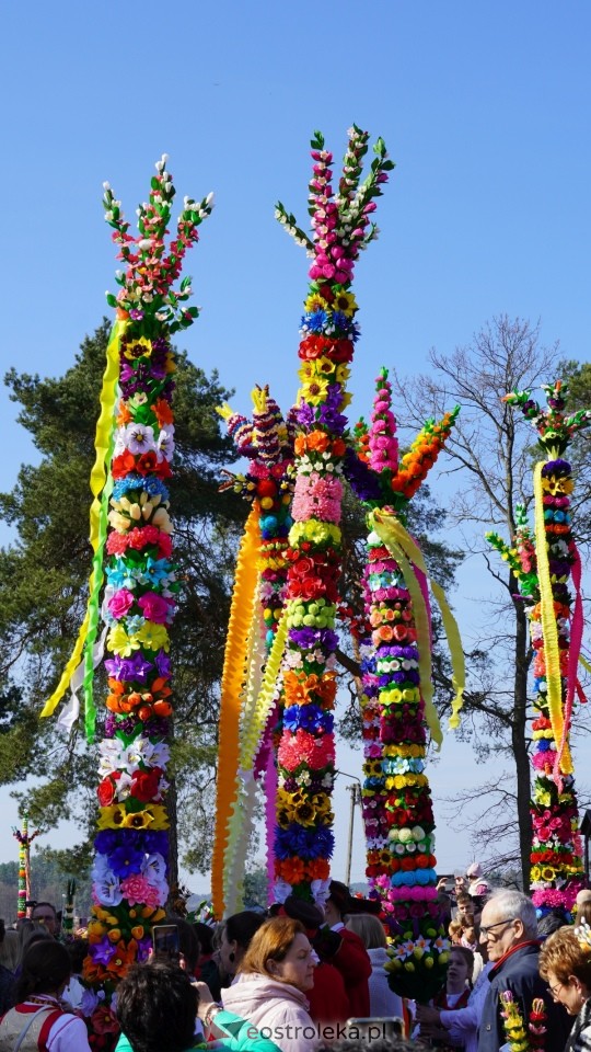 Niedziela Palmowa 2025 w Łysych [13.04.2025] - zdjęcie #394 - eOstroleka.pl