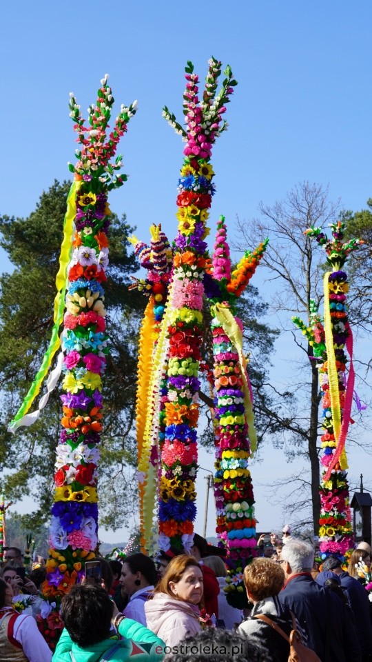 Niedziela Palmowa 2025 w Łysych [13.04.2025] - zdjęcie #393 - eOstroleka.pl