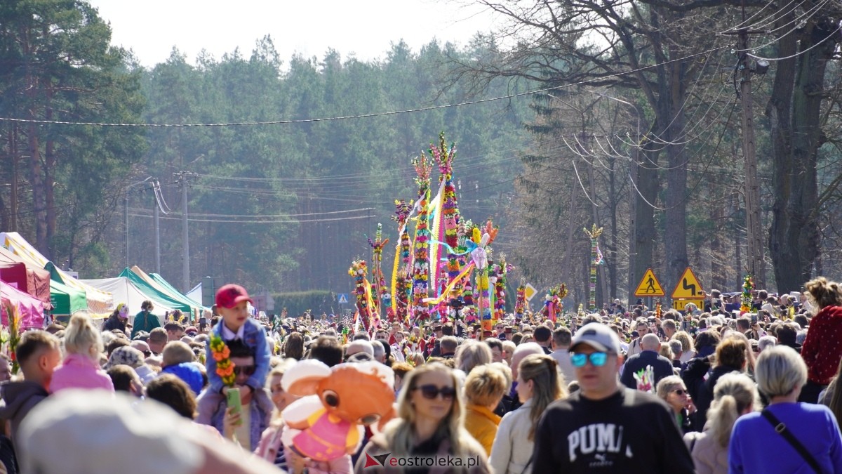 Niedziela Palmowa 2025 w Łysych [13.04.2025] - zdjęcie #204 - eOstroleka.pl