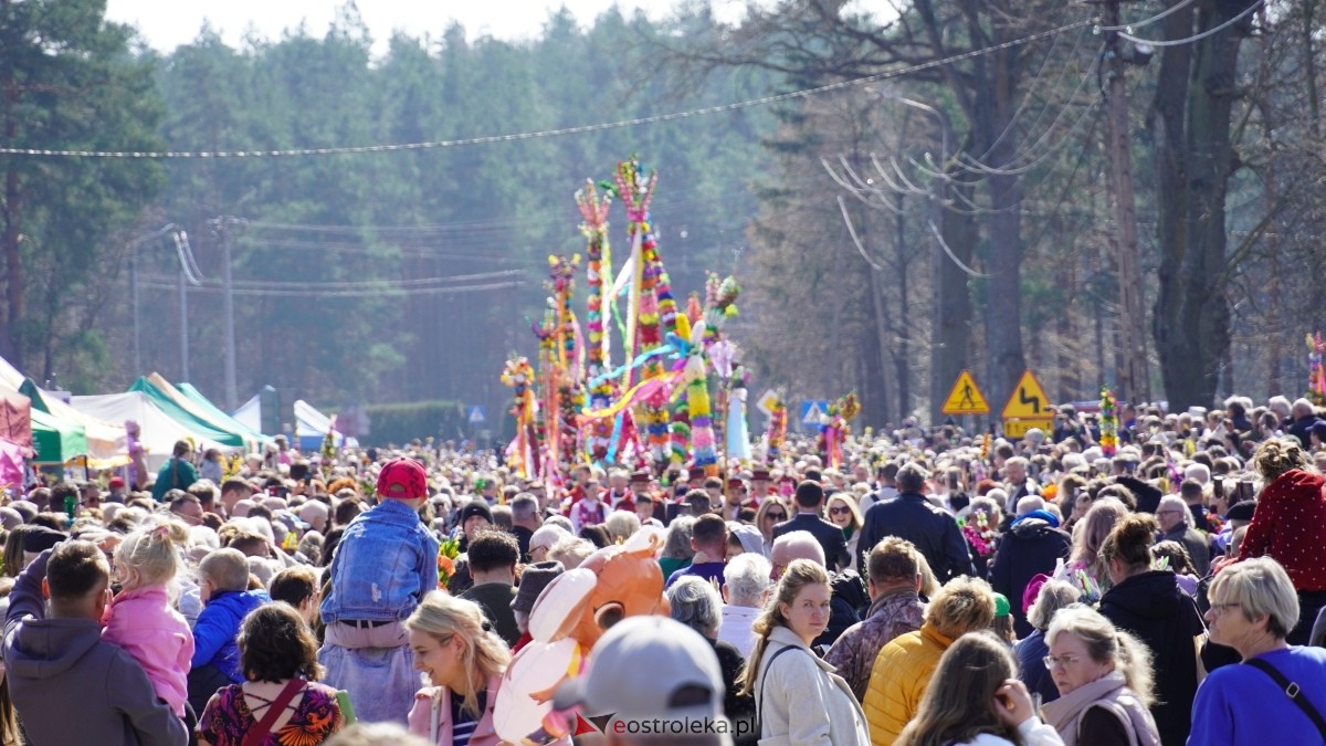 Niedziela Palmowa 2025 w Łysych [13.04.2025] - zdjęcie #203 - eOstroleka.pl