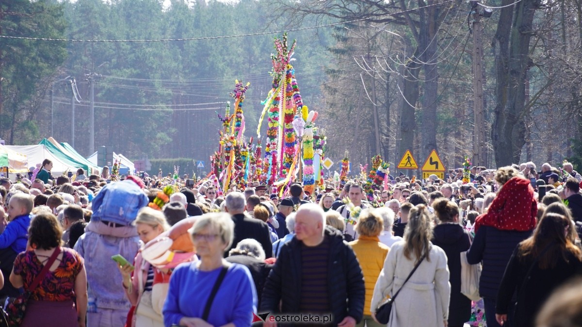 Niedziela Palmowa 2025 w Łysych [13.04.2025] - zdjęcie #201 - eOstroleka.pl