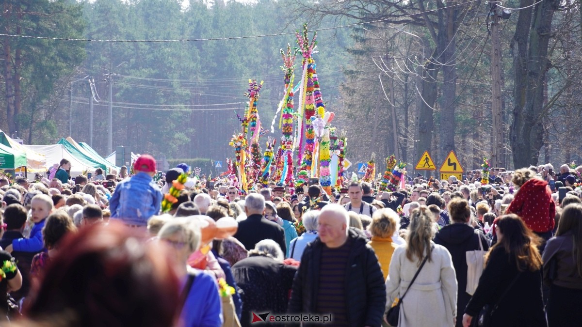 Niedziela Palmowa 2025 w Łysych [13.04.2025] - zdjęcie #200 - eOstroleka.pl
