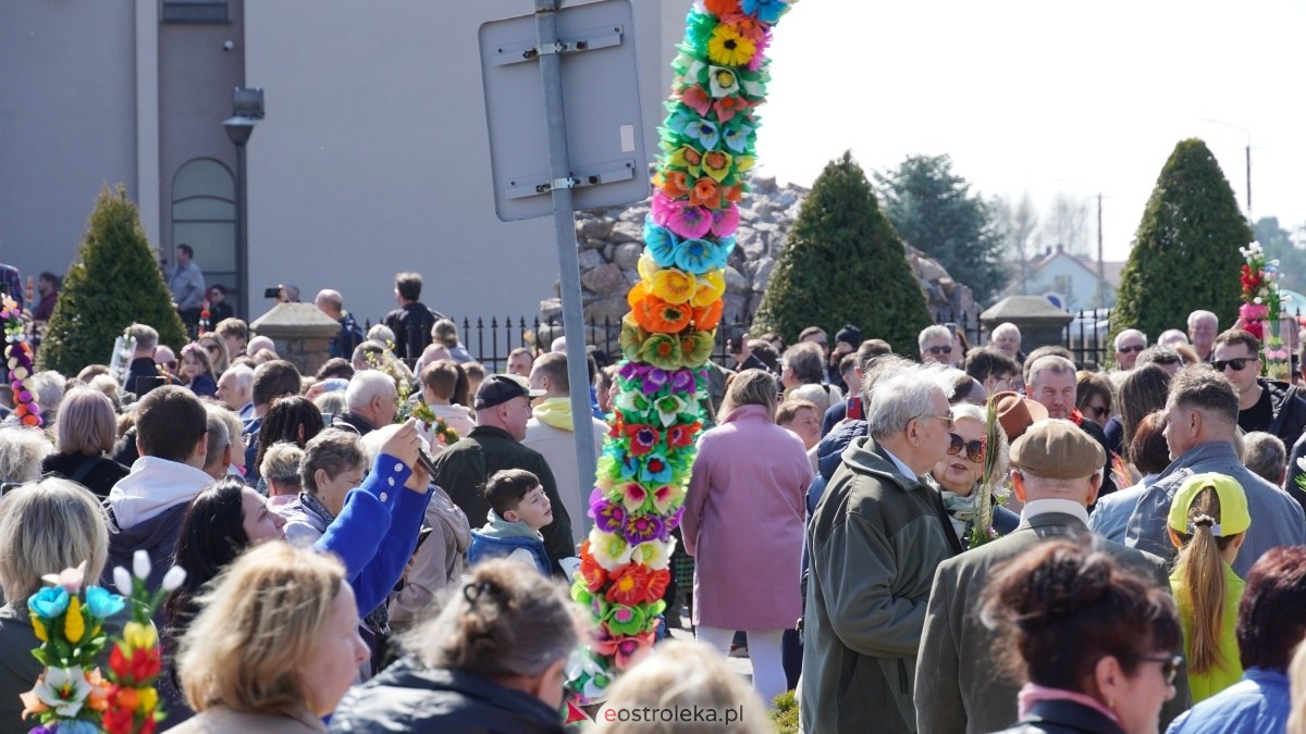 Niedziela Palmowa 2025 w Łysych [13.04.2025] - zdjęcie #114 - eOstroleka.pl