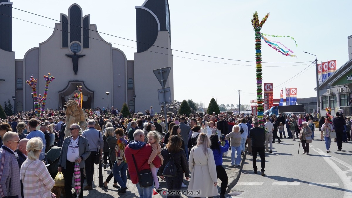 Niedziela Palmowa 2025 w Łysych [13.04.2025] - zdjęcie #107 - eOstroleka.pl
