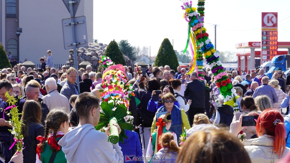 Niedziela Palmowa 2025 w Łysych [13.04.2025] - zdjęcie #91 - eOstroleka.pl
