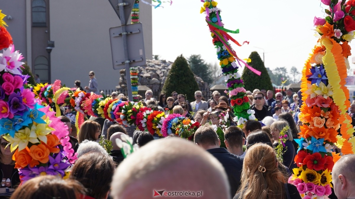 Niedziela Palmowa 2025 w Łysych [13.04.2025] - zdjęcie #85 - eOstroleka.pl