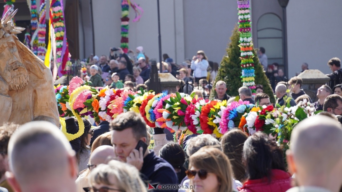 Niedziela Palmowa 2025 w Łysych [13.04.2025] - zdjęcie #82 - eOstroleka.pl