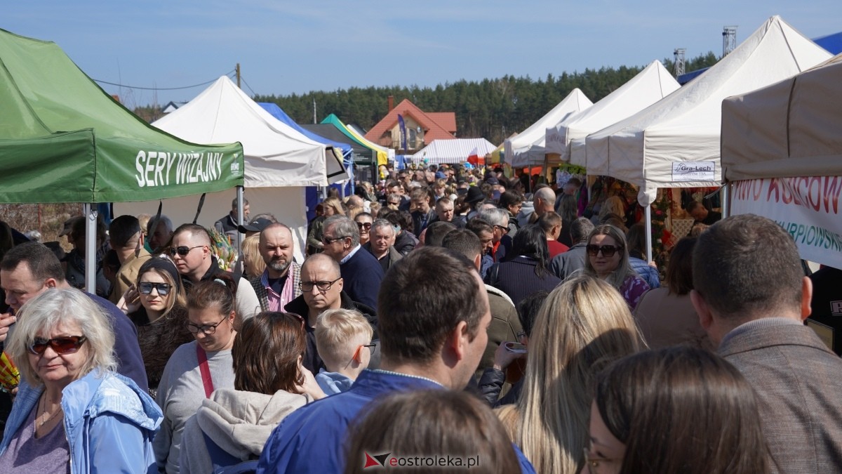 Niedziela Palmowa 2025 w Łysych [13.04.2025] - zdjęcie #48 - eOstroleka.pl