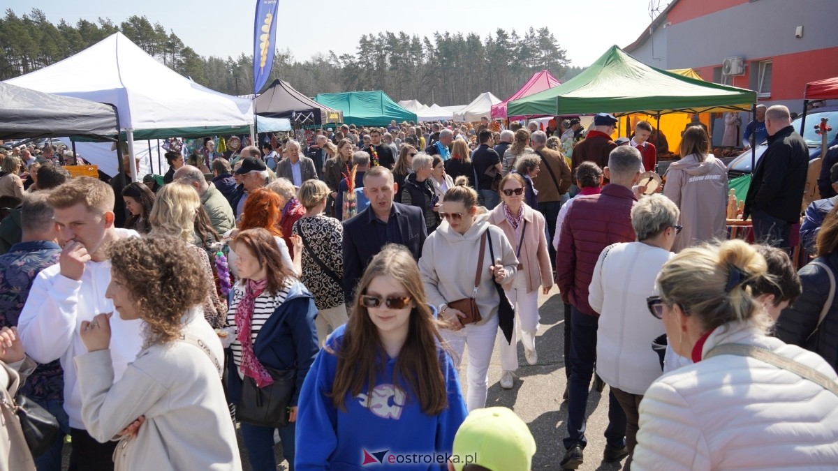 Niedziela Palmowa 2025 w Łysych [13.04.2025] - zdjęcie #25 - eOstroleka.pl