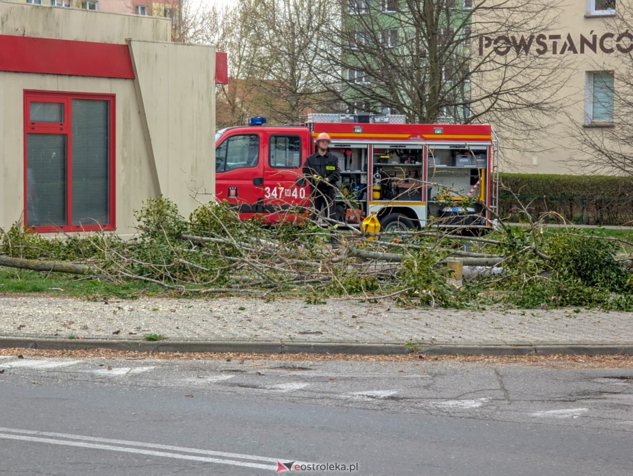 Utrudnienia w centrum Ostrołęki w związku z przycinką drzewa [14.04.2025] - zdjęcie #21 - eOstroleka.pl