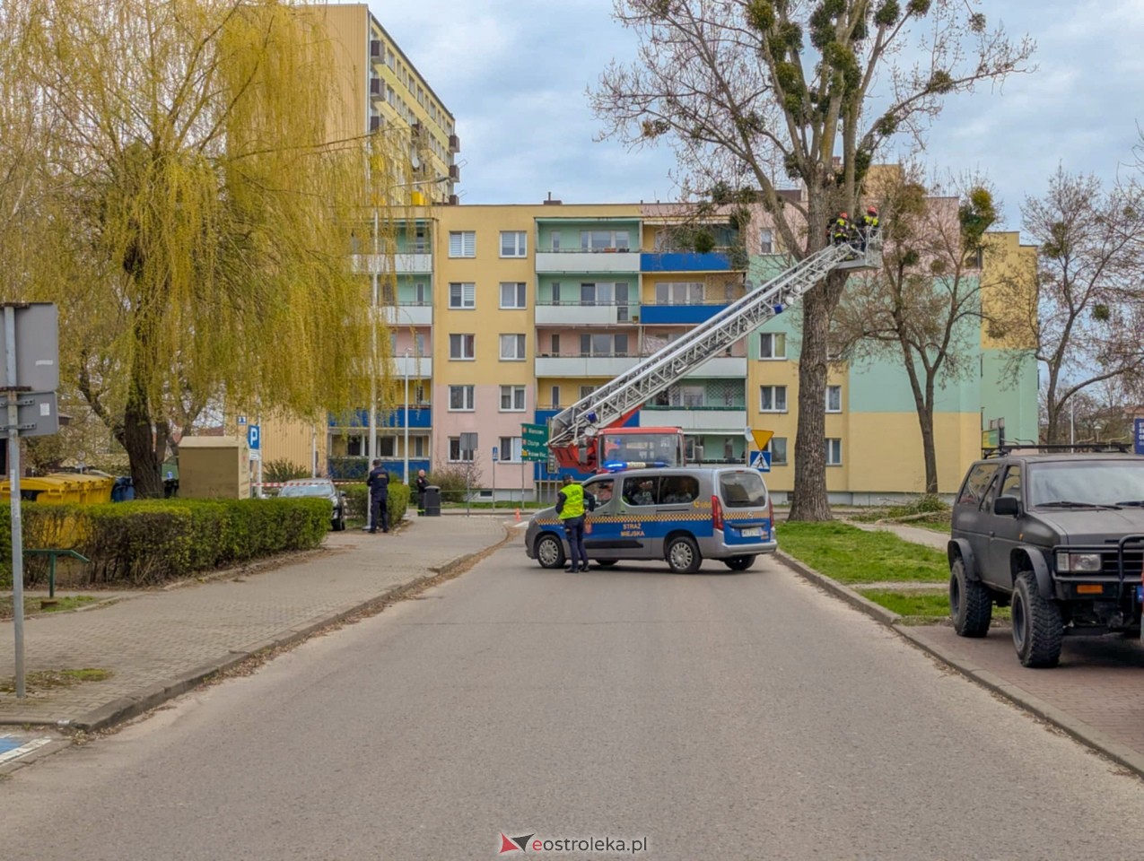 Utrudnienia w centrum Ostrołęki w związku z przycinką drzewa [14.04.2025] - zdjęcie #15 - eOstroleka.pl