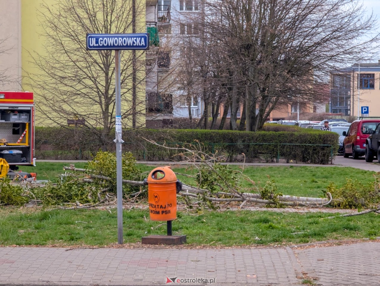 Utrudnienia w centrum Ostrołęki w związku z przycinką drzewa [14.04.2025] - zdjęcie #12 - eOstroleka.pl