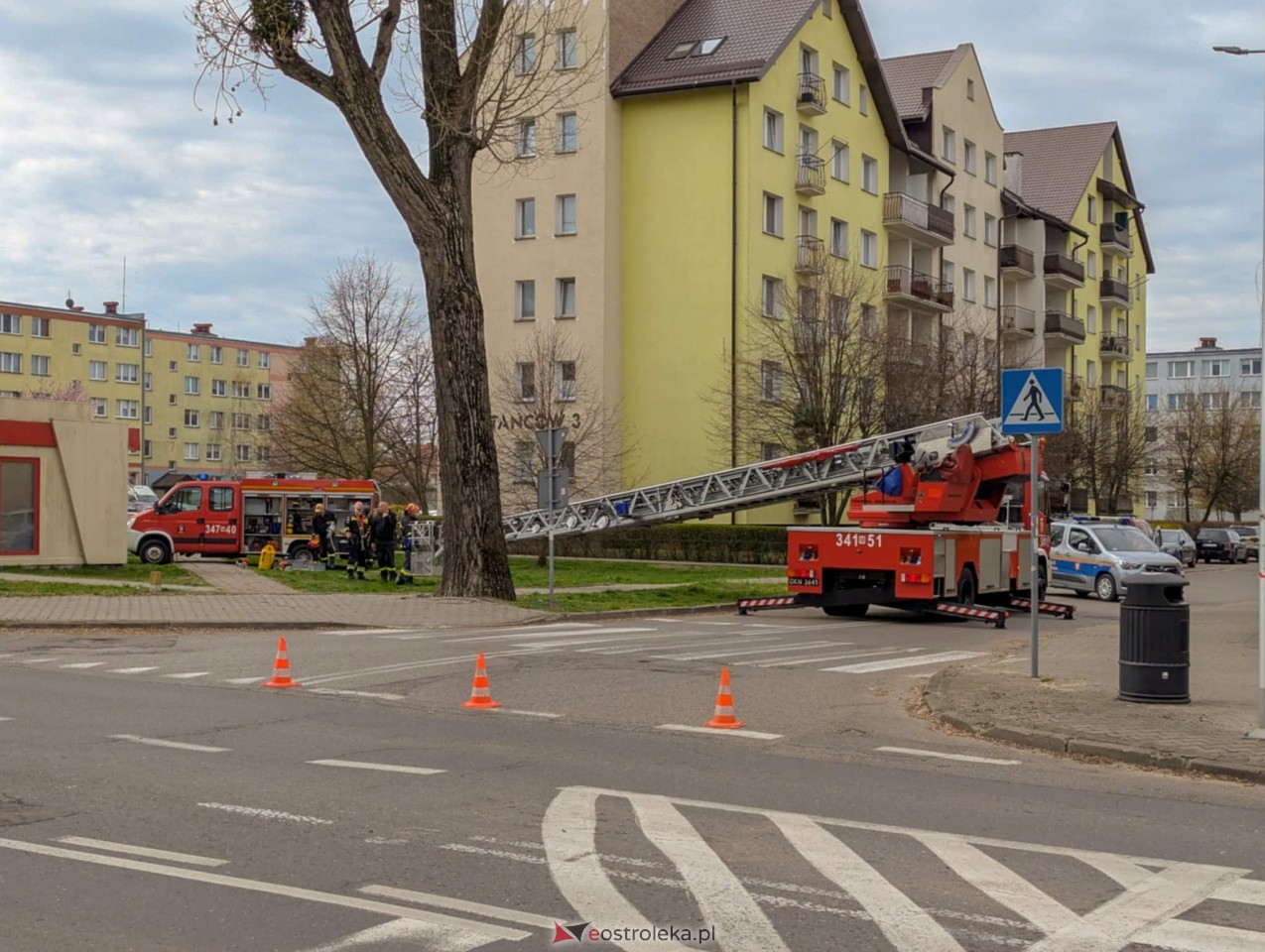 Utrudnienia w centrum Ostrołęki w związku z przycinką drzewa [14.04.2025] - zdjęcie #11 - eOstroleka.pl