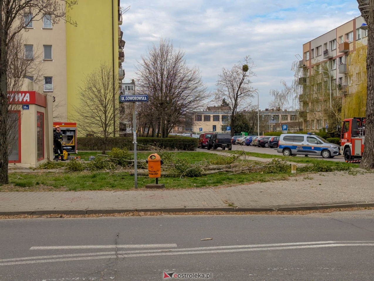 Utrudnienia w centrum Ostrołęki w związku z przycinką drzewa [14.04.2025] - zdjęcie #10 - eOstroleka.pl
