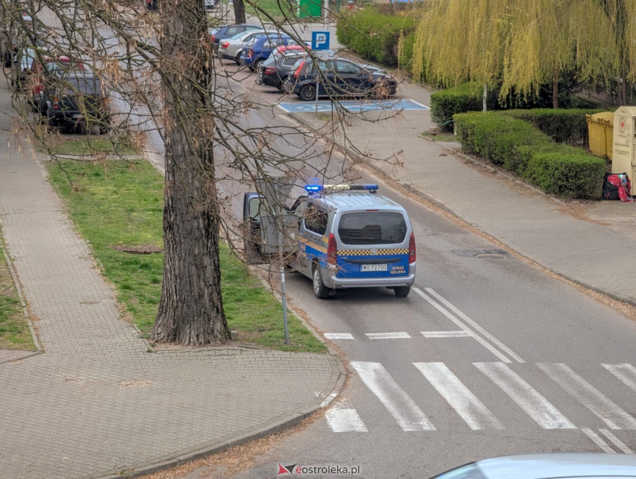 Utrudnienia w centrum Ostrołęki w związku z przycinką drzewa [14.04.2025] - zdjęcie #5 - eOstroleka.pl