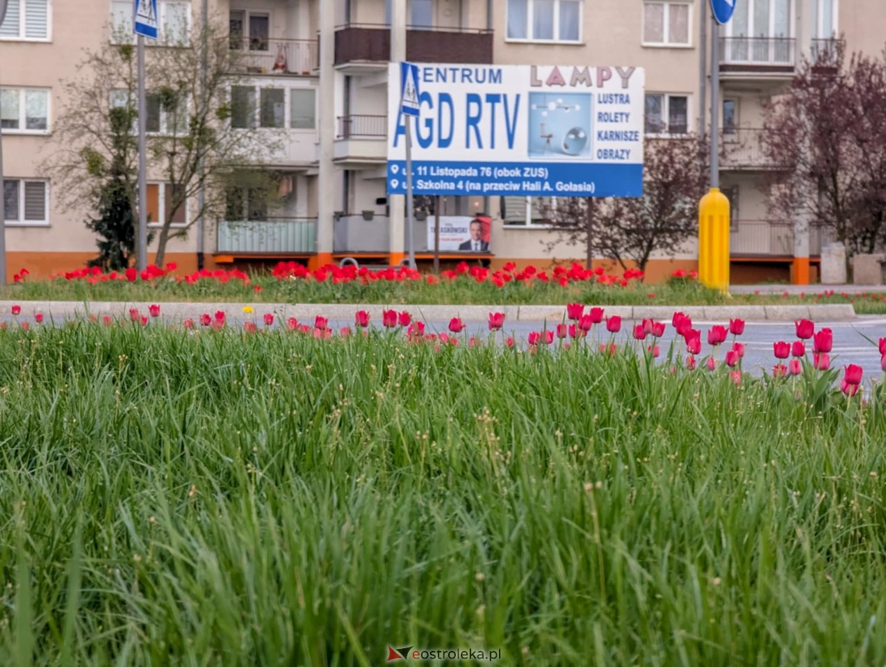Ostrołęka wypiękniała na święta [19.04.2025] - zdjęcie #18 - eOstroleka.pl