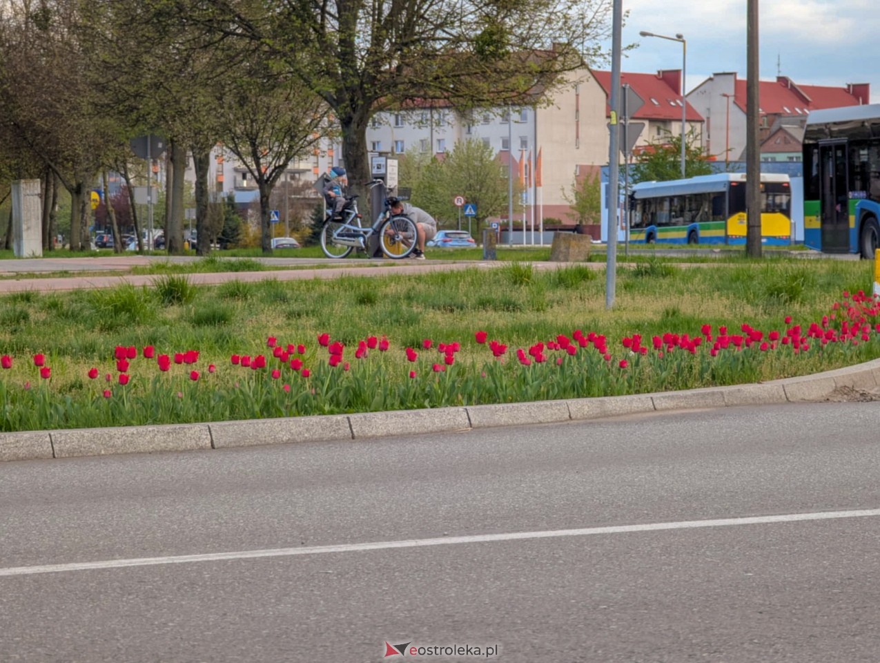 Ostrołęka wypiękniała na święta [19.04.2025] - zdjęcie #16 - eOstroleka.pl