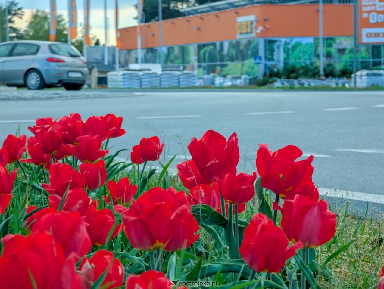 Ostrołęka wypiękniała na święta [19.04.2025] - zdjęcie #9 - eOstroleka.pl