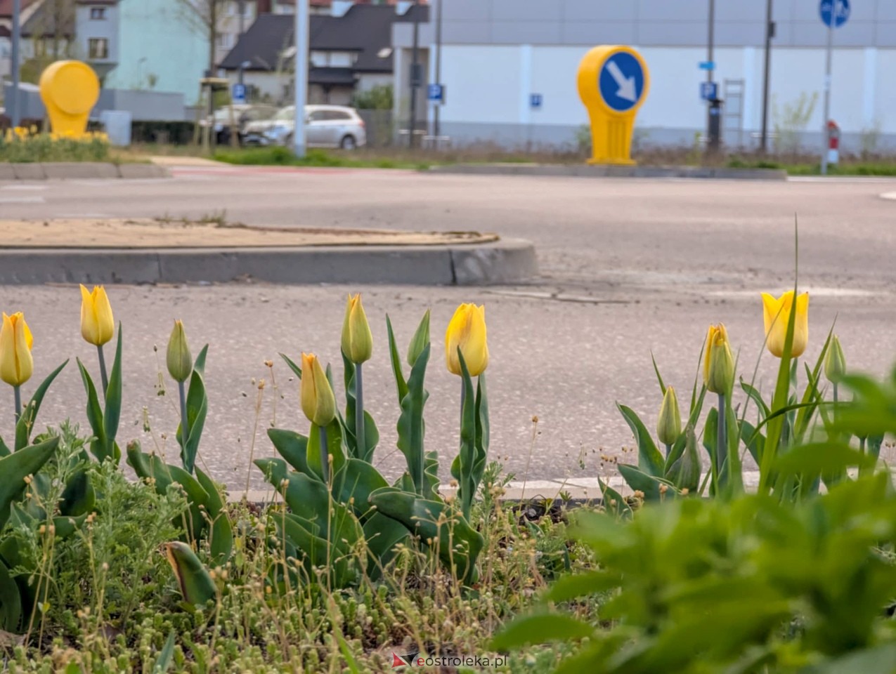 Ostrołęka wypiękniała na święta [19.04.2025] - zdjęcie #12 - eOstroleka.pl