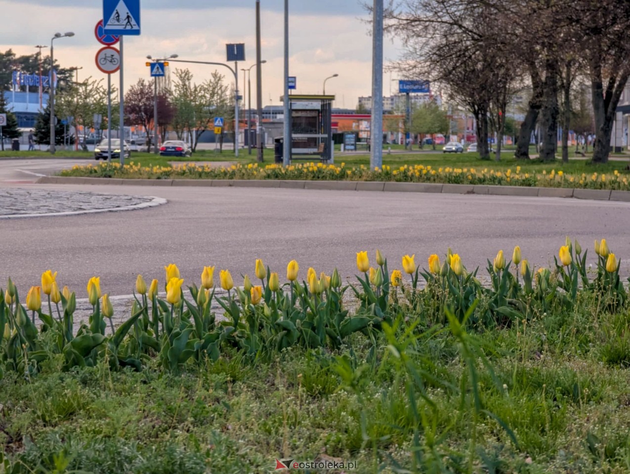 Ostrołęka wypiękniała na święta [19.04.2025] - zdjęcie #11 - eOstroleka.pl
