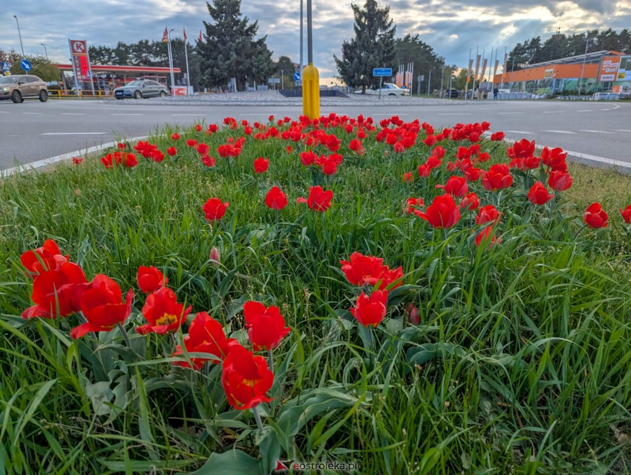 Ostrołęka wypiękniała na święta [19.04.2025] - zdjęcie #4 - eOstroleka.pl