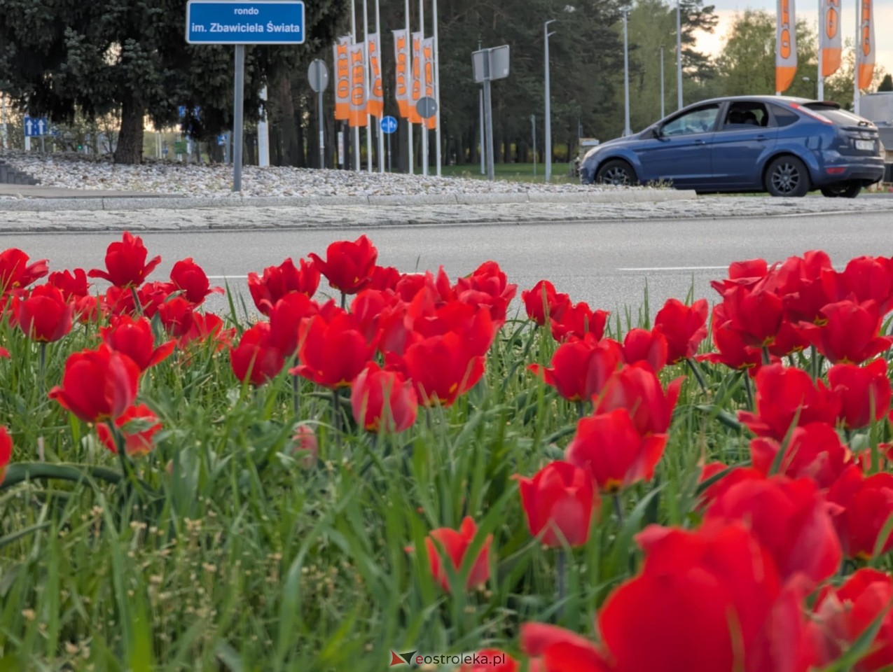 Ostrołęka wypiękniała na święta [19.04.2025] - zdjęcie #1 - eOstroleka.pl
