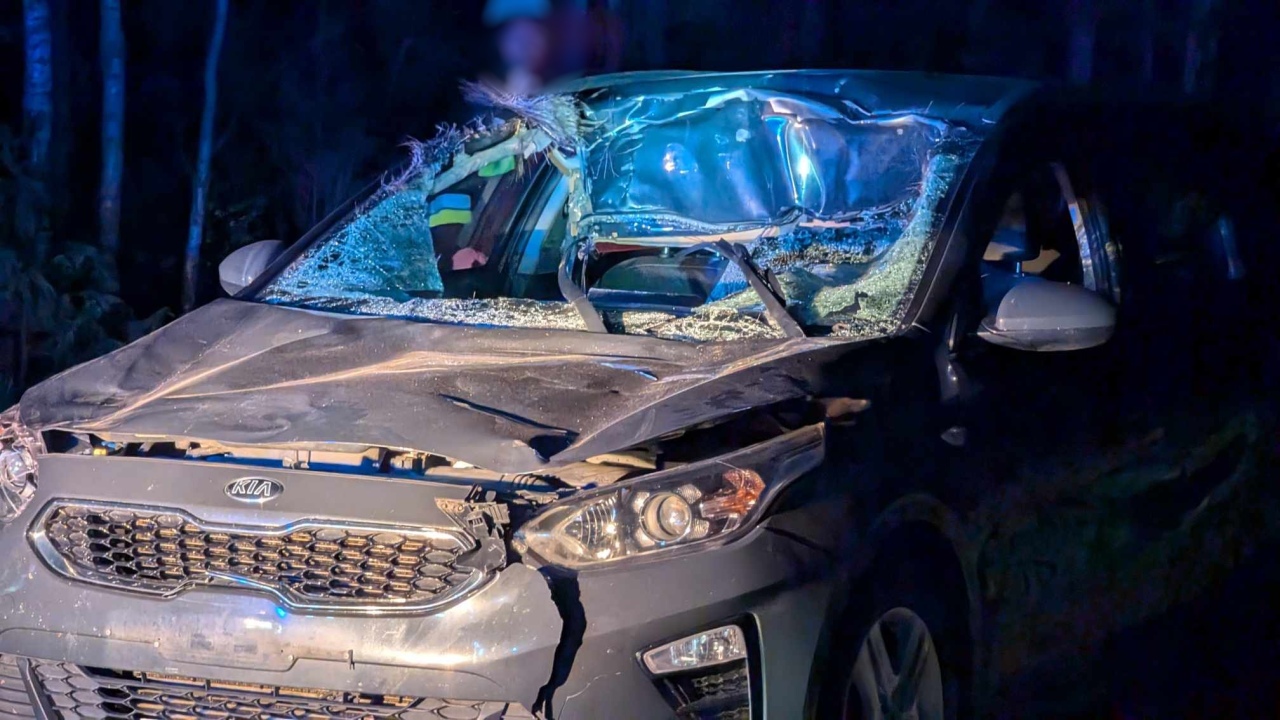 Wypadek na Mazowieckiej w Czerwinie [21.04.2025] - zdjęcie #3 - eOstroleka.pl
