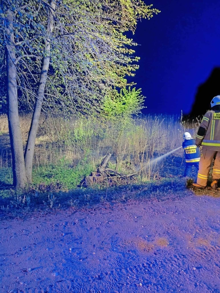 Pożar trawy w miejscowości Czernie, gmina Goworowo [22.04.2025] - zdjęcie #6 - eOstroleka.pl