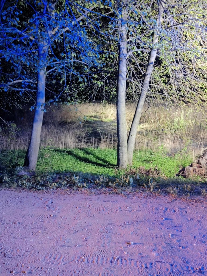 Pożar trawy w miejscowości Czernie, gmina Goworowo [22.04.2025] - zdjęcie #3 - eOstroleka.pl