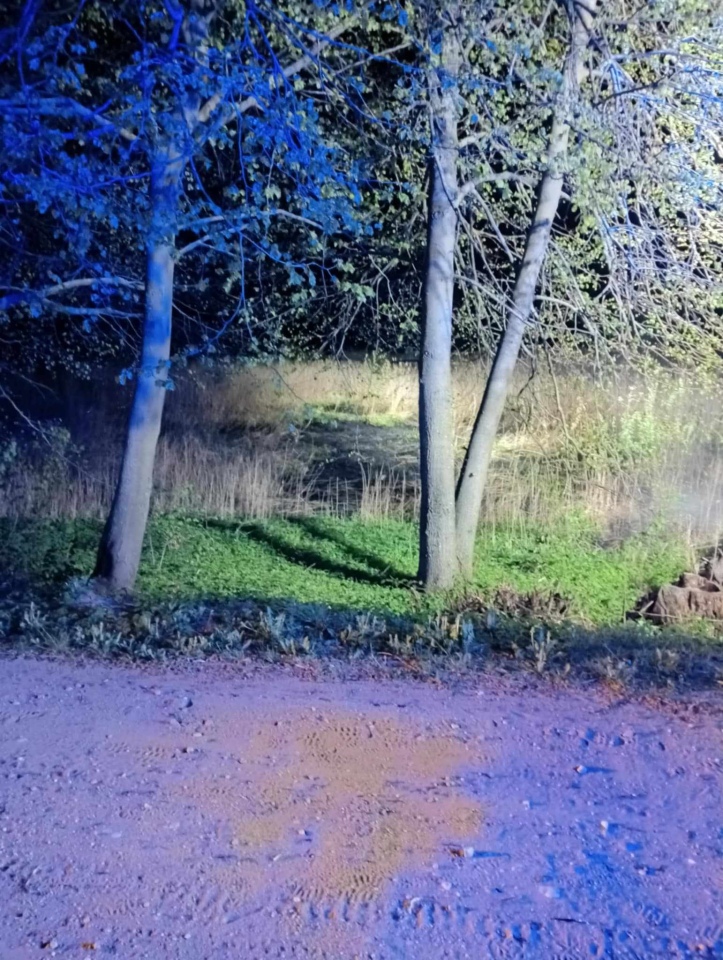 Pożar trawy w miejscowości Czernie, gmina Goworowo [22.04.2025] - zdjęcie #2 - eOstroleka.pl