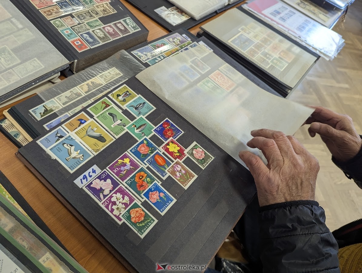 Giełda kolekcjonerska w Klubie Lokator [04.05.2025] - zdjęcie #21 - eOstroleka.pl
