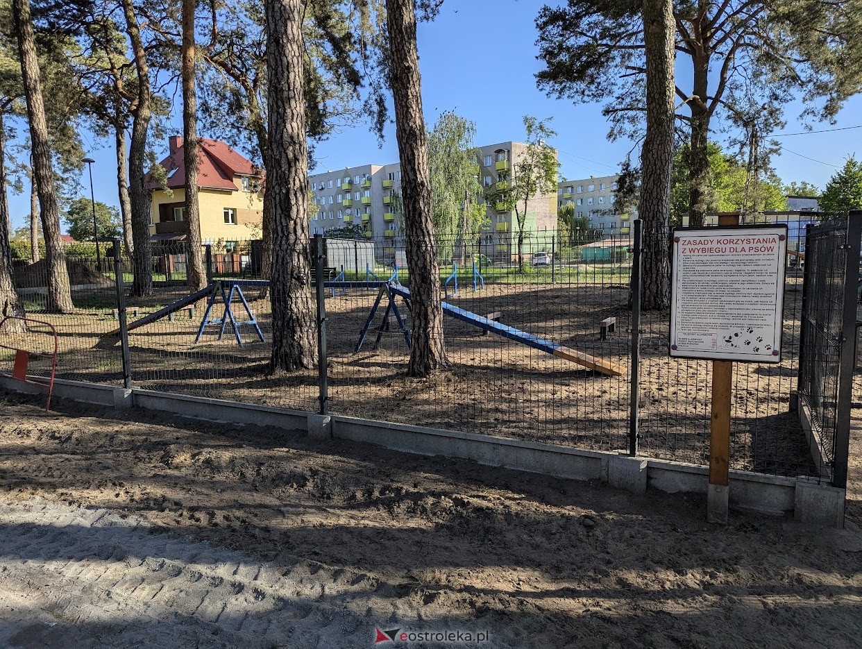 Wybieg dla psów w parku miejskim w Ostrołęce [06.05.2025] - zdjęcie #9 - eOstroleka.pl