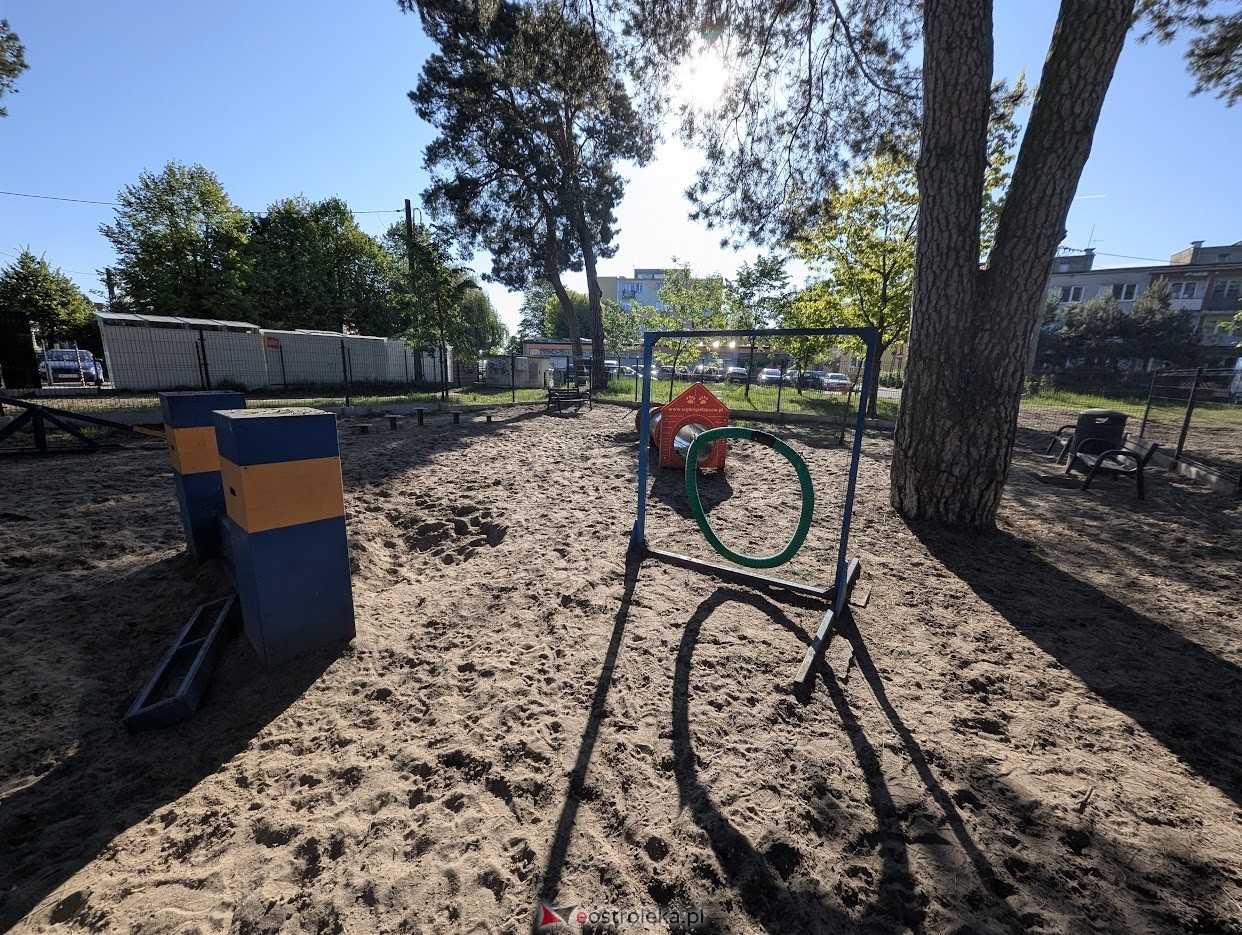 Wybieg dla psów w parku miejskim w Ostrołęce [06.05.2025] - zdjęcie #7 - eOstroleka.pl