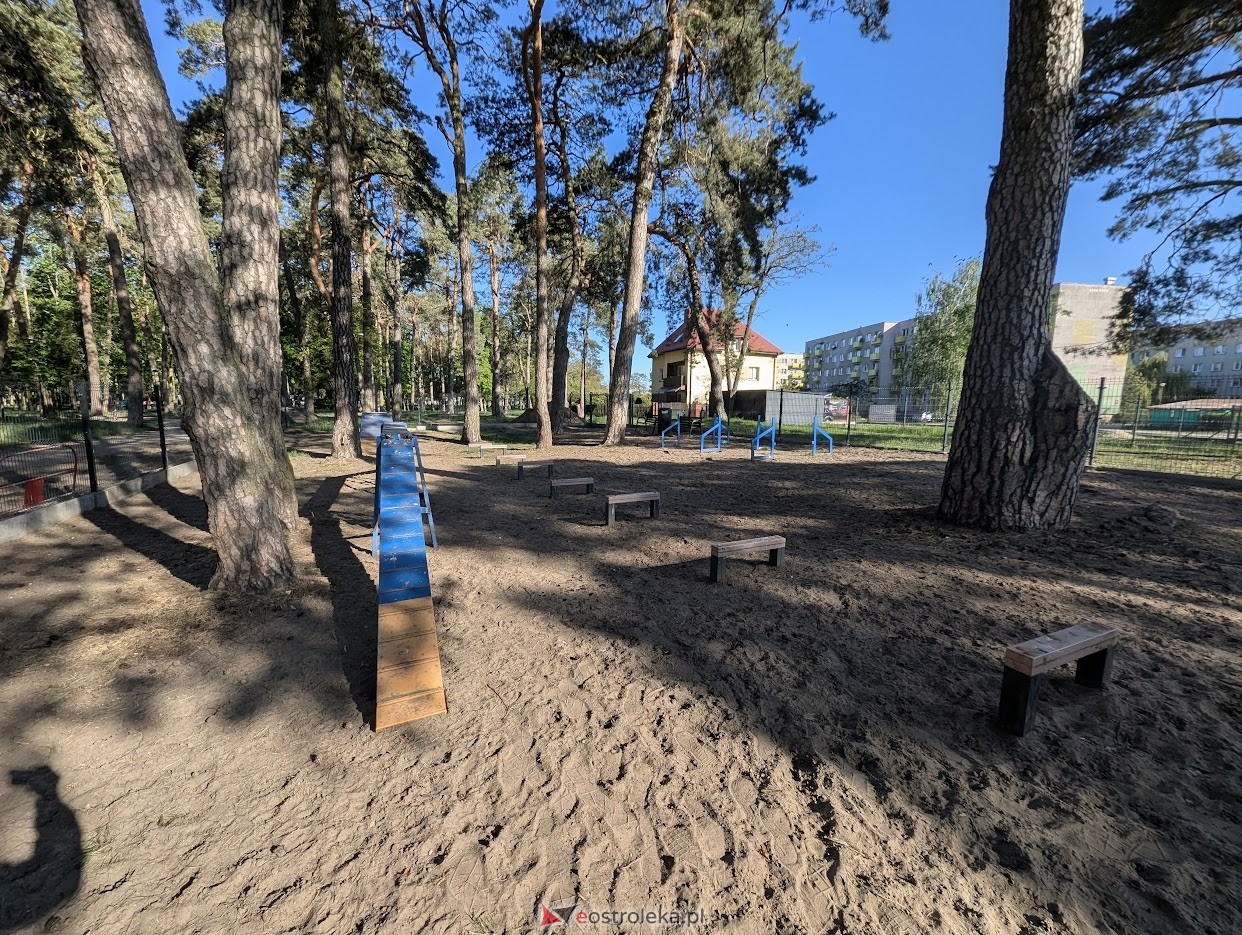 Wybieg dla psów w parku miejskim w Ostrołęce [06.05.2025] - zdjęcie #6 - eOstroleka.pl