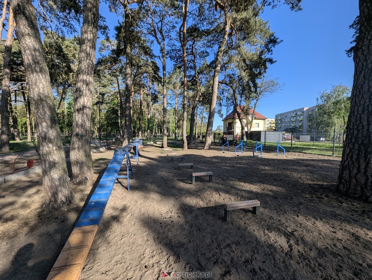 Wybieg dla psów w parku miejskim w Ostrołęce [06.05.2025] - zdjęcie #5 - eOstroleka.pl