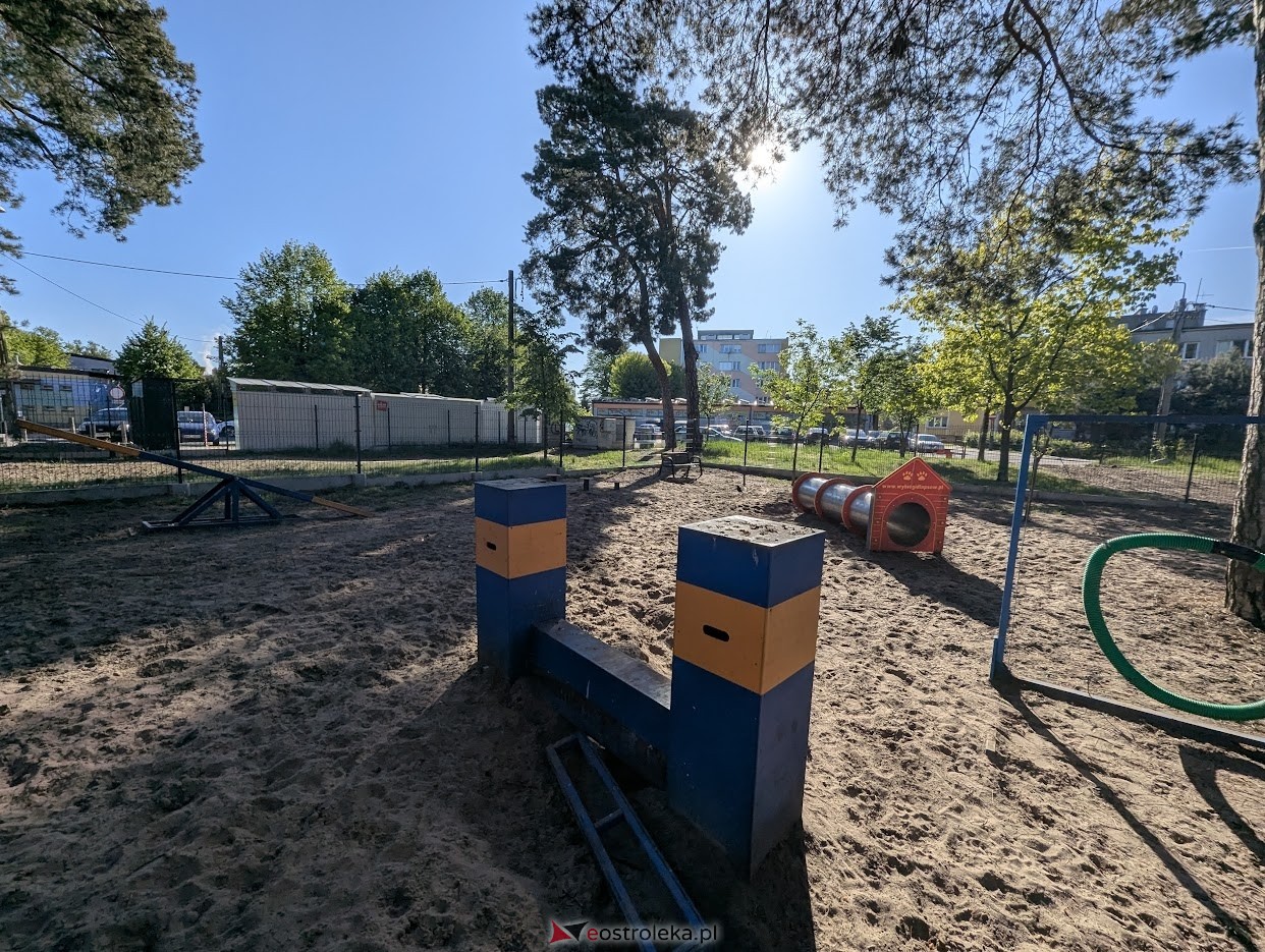 Wybieg dla psów w parku miejskim w Ostrołęce [06.05.2025] - zdjęcie #4 - eOstroleka.pl