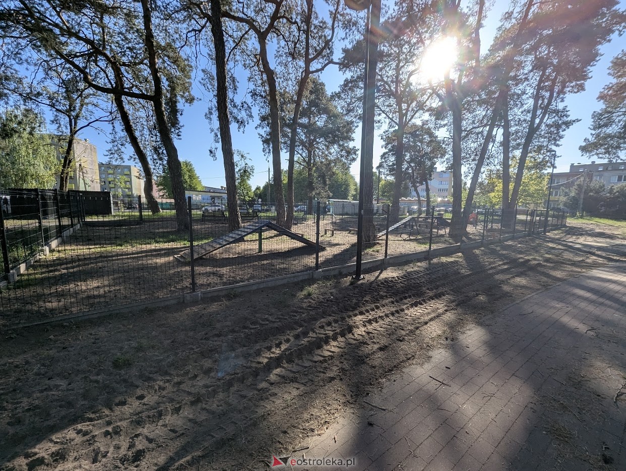 Wybieg dla psów w parku miejskim w Ostrołęce [06.05.2025] - zdjęcie #3 - eOstroleka.pl