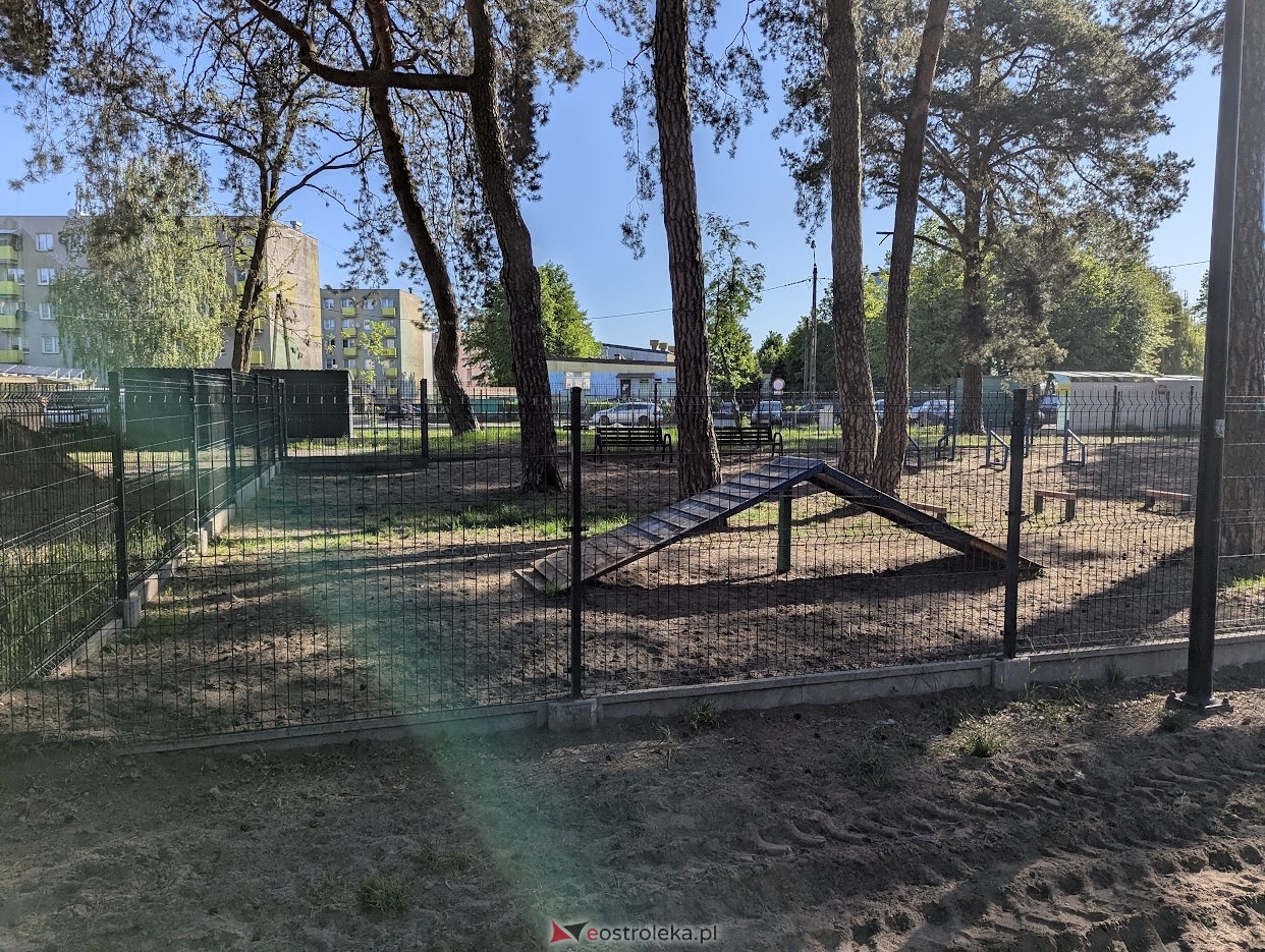 Wybieg dla psów w parku miejskim w Ostrołęce [06.05.2025] - zdjęcie #2 - eOstroleka.pl