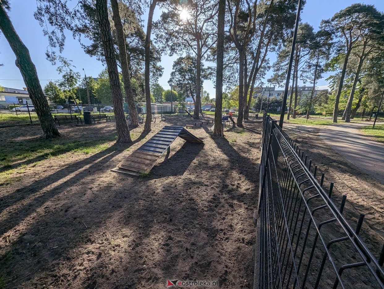 Wybieg dla psów w parku miejskim w Ostrołęce [06.05.2025] - zdjęcie #1 - eOstroleka.pl