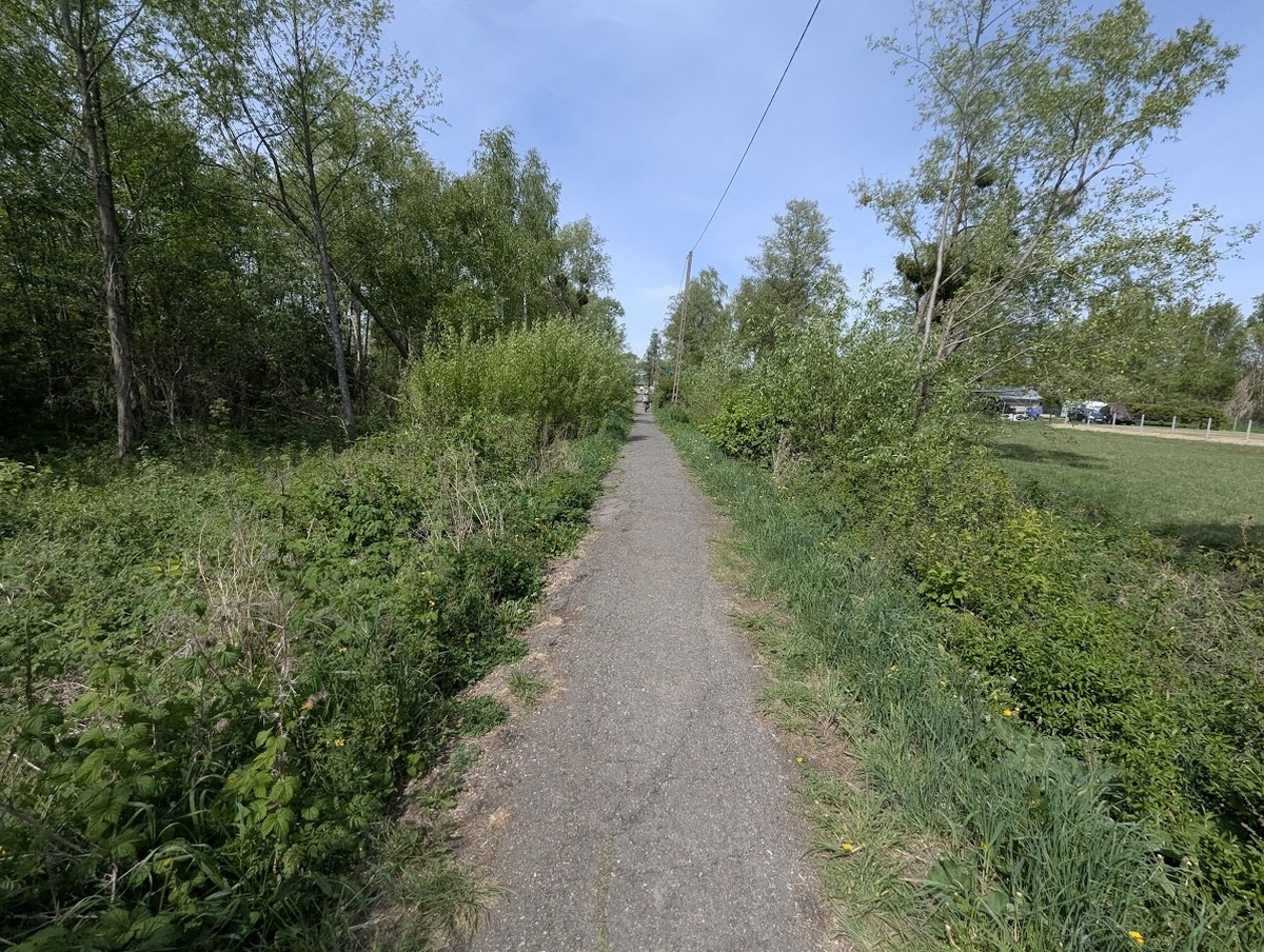 Czarna dróżka - finisz prac [07.05.2025] - zdjęcie #2 - eOstroleka.pl