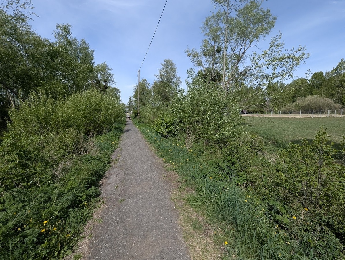 Czarna dróżka - finisz prac [07.05.2025] - zdjęcie #1 - eOstroleka.pl