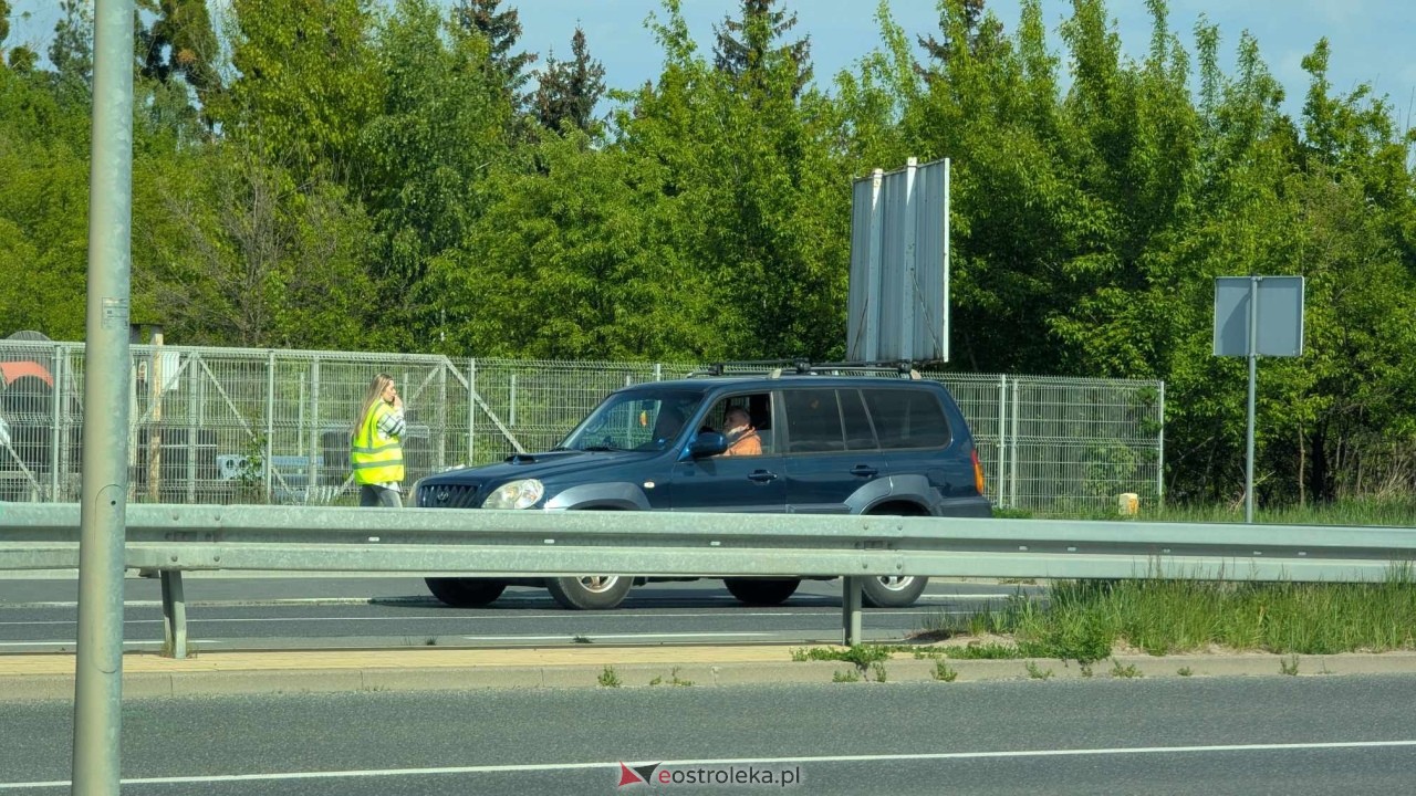 Łosie w centrum Ostrołęki [08.05.2025] - zdjęcie #29 - eOstroleka.pl